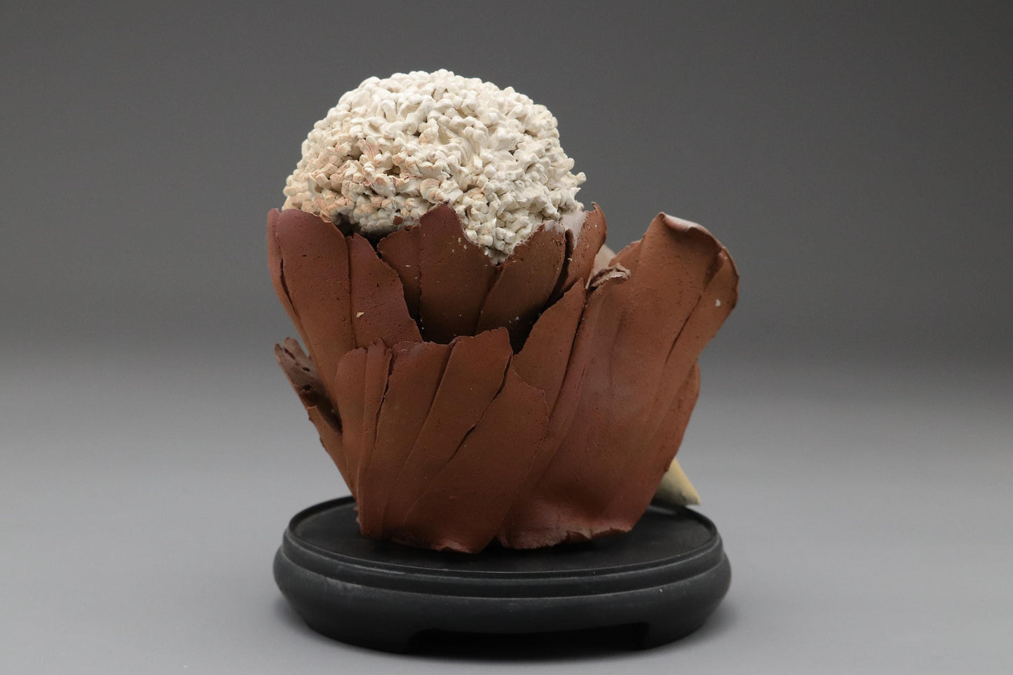 Ceramic Art Doll by Shoko Takeuchi Handcrafted Figurine With Curly Hair in Abstract Floral Form for Artistic Display or Interior Decoration