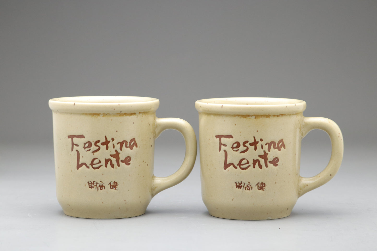 Takeshi Kaiko Festina Lente Mug Set | Japanese Ceramic Pottery | Rare Vintage Collectible | Coffee Cup Gift for Author Fans | Beige Speckled