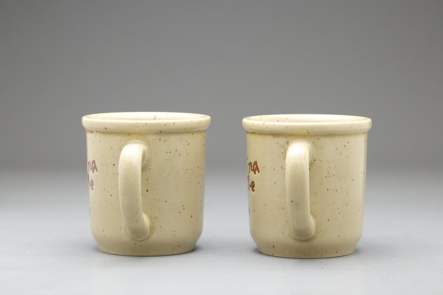 Takeshi Kaiko Festina Lente Mug Set | Japanese Ceramic Pottery | Rare Vintage Collectible | Coffee Cup Gift for Author Fans | Beige Speckled