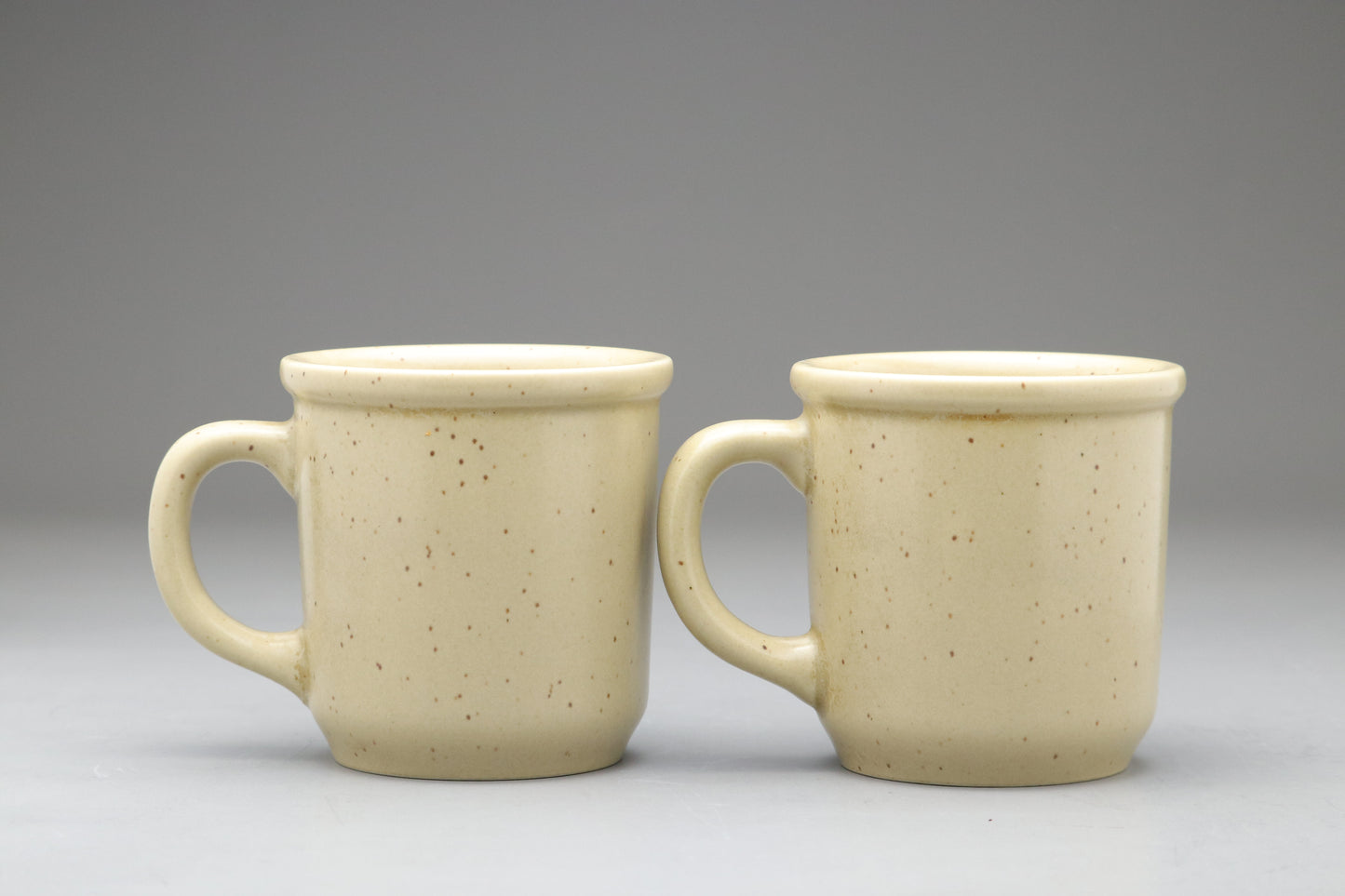 Takeshi Kaiko Festina Lente Mug Set | Japanese Ceramic Pottery | Rare Vintage Collectible | Coffee Cup Gift for Author Fans | Beige Speckled