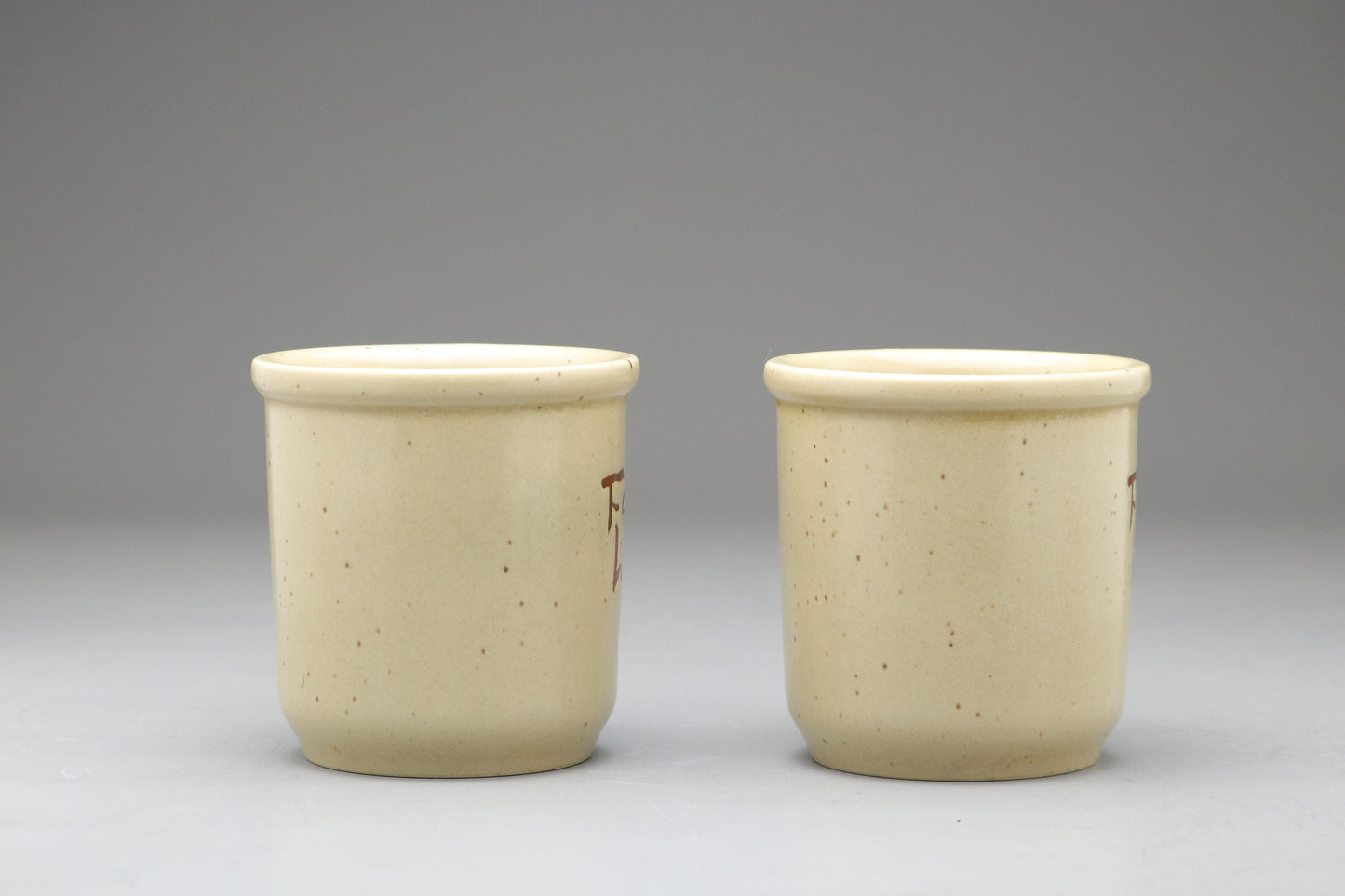 Takeshi Kaiko Festina Lente Mug Set | Japanese Ceramic Pottery | Rare Vintage Collectible | Coffee Cup Gift for Author Fans | Beige Speckled