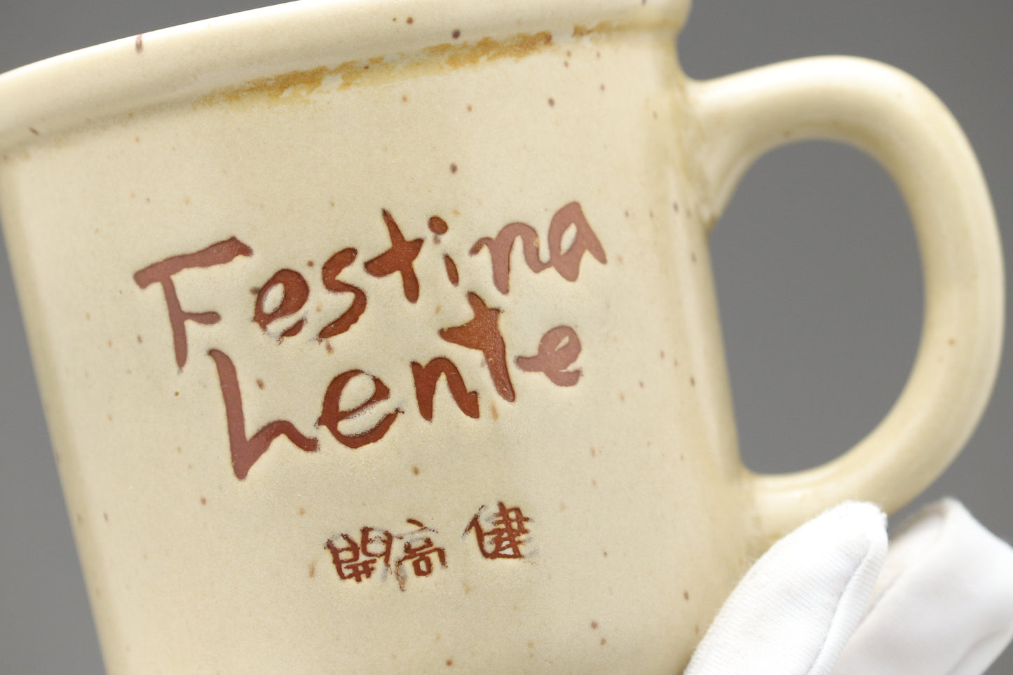 Takeshi Kaiko Festina Lente Mug Set | Japanese Ceramic Pottery | Rare Vintage Collectible | Coffee Cup Gift for Author Fans | Beige Speckled