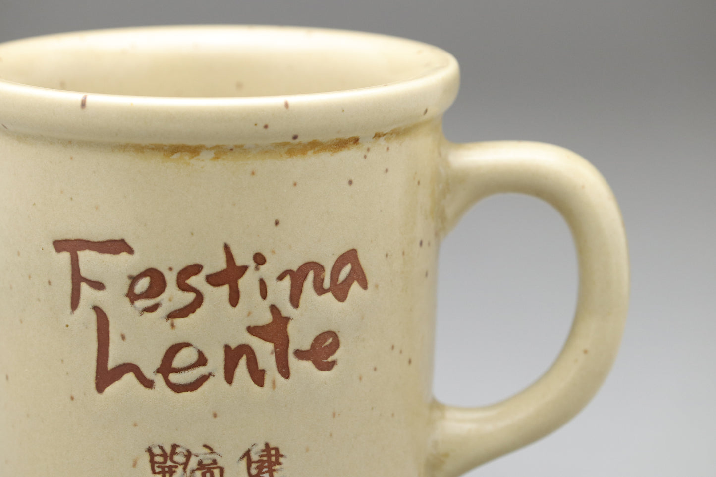 Takeshi Kaiko Festina Lente Mug Set | Japanese Ceramic Pottery | Rare Vintage Collectible | Coffee Cup Gift for Author Fans | Beige Speckled