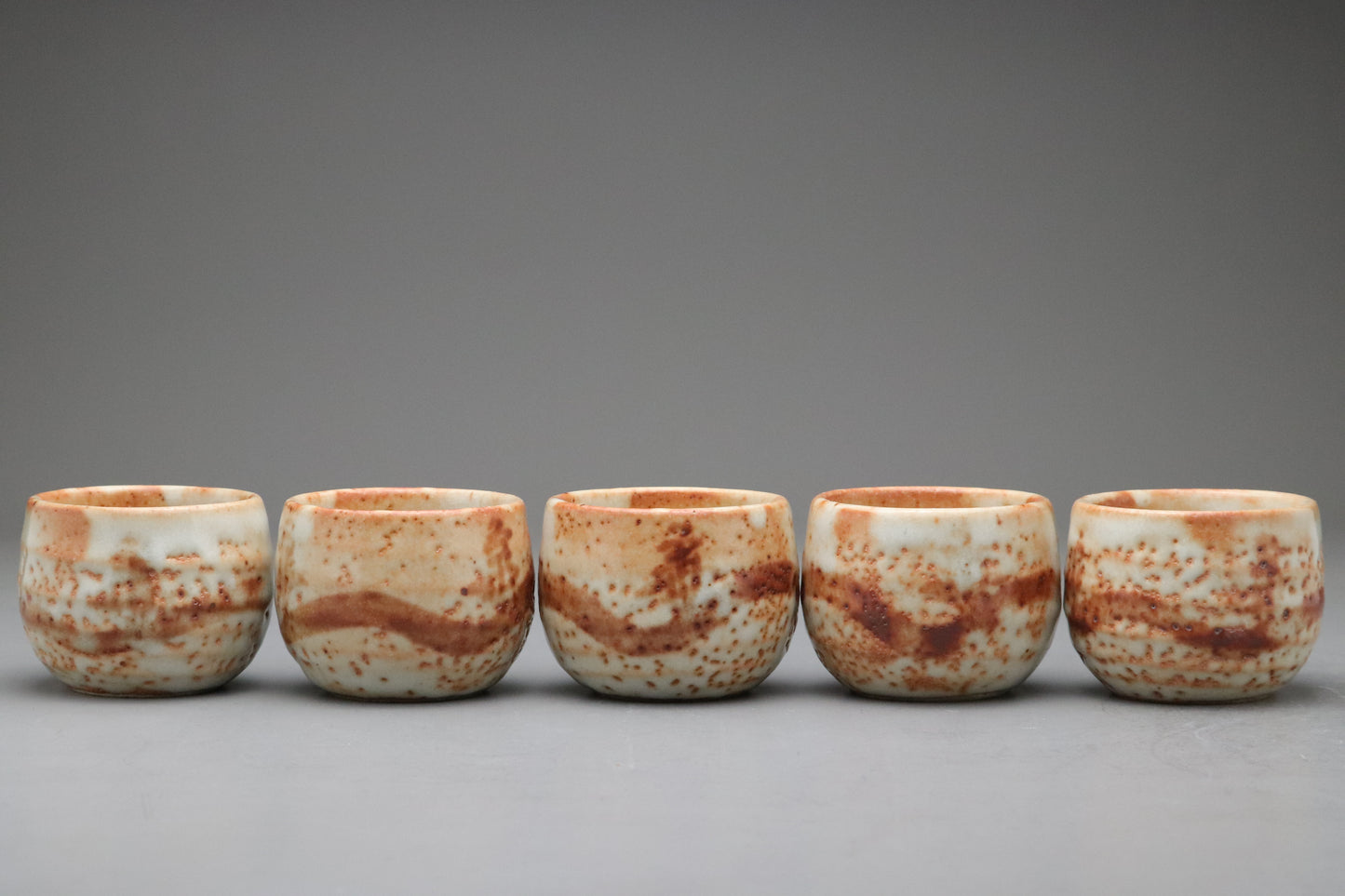 Japanese Mino Ware | Shusen Kiln Tea Set | Handmade Ceramic Teapot | 5 Yunomi Cups | Rustic Shino Glaze | Wabi Sabi | Artisan Pottery Decors