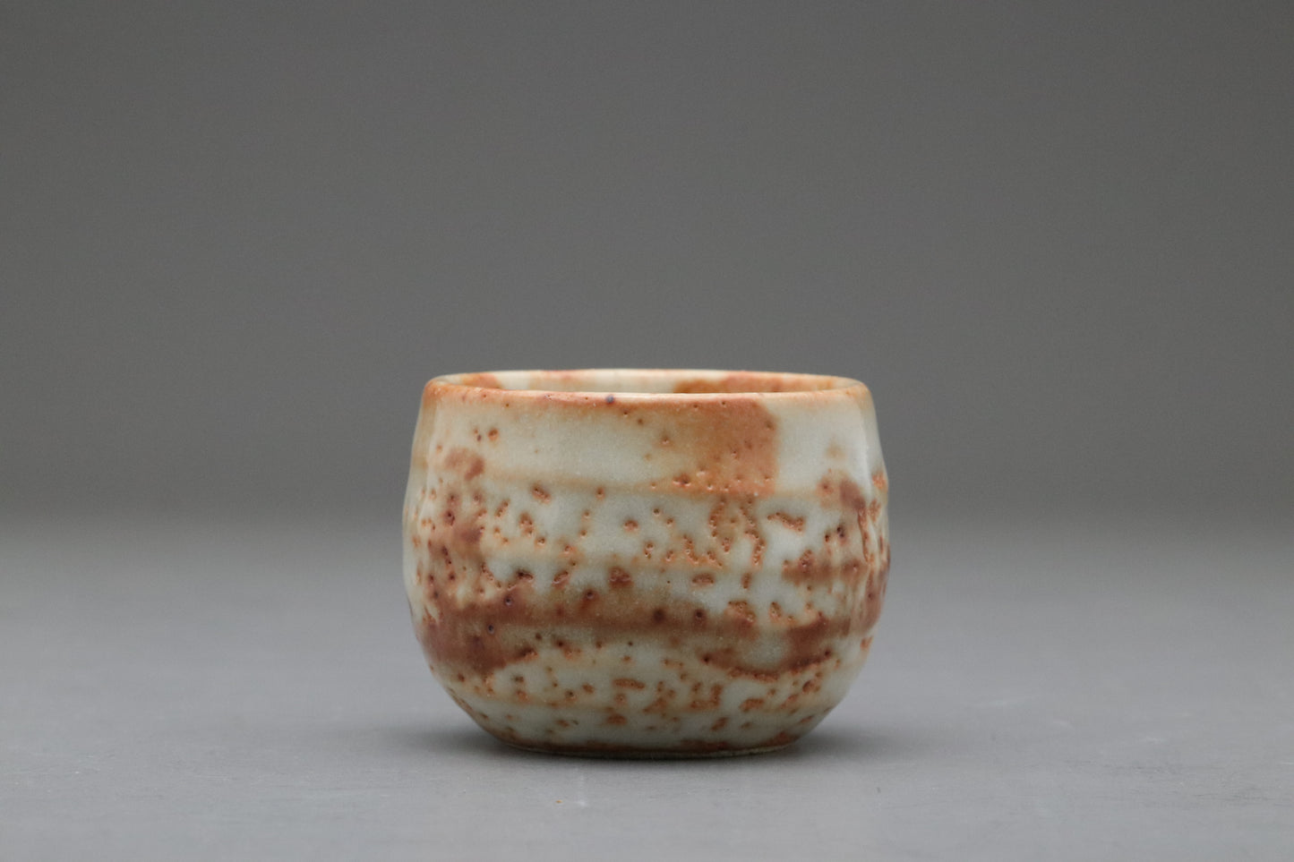 Japanese Mino Ware | Shusen Kiln Tea Set | Handmade Ceramic Teapot | 5 Yunomi Cups | Rustic Shino Glaze | Wabi Sabi | Artisan Pottery Decors