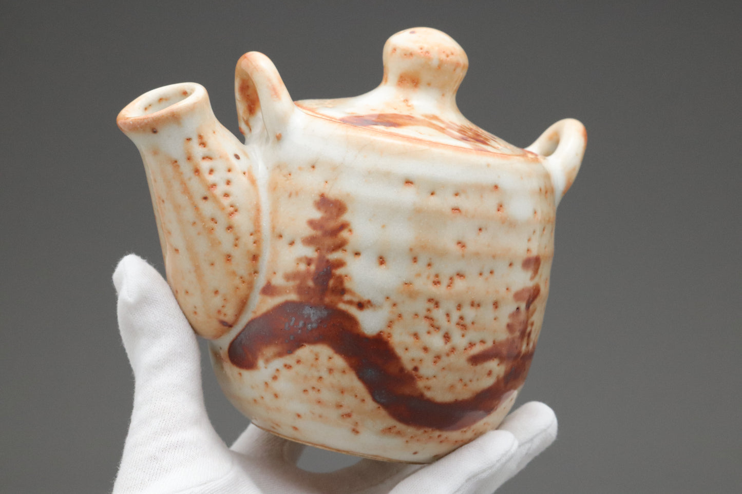 Japanese Mino Ware | Shusen Kiln Tea Set | Handmade Ceramic Teapot | 5 Yunomi Cups | Rustic Shino Glaze | Wabi Sabi | Artisan Pottery Decors