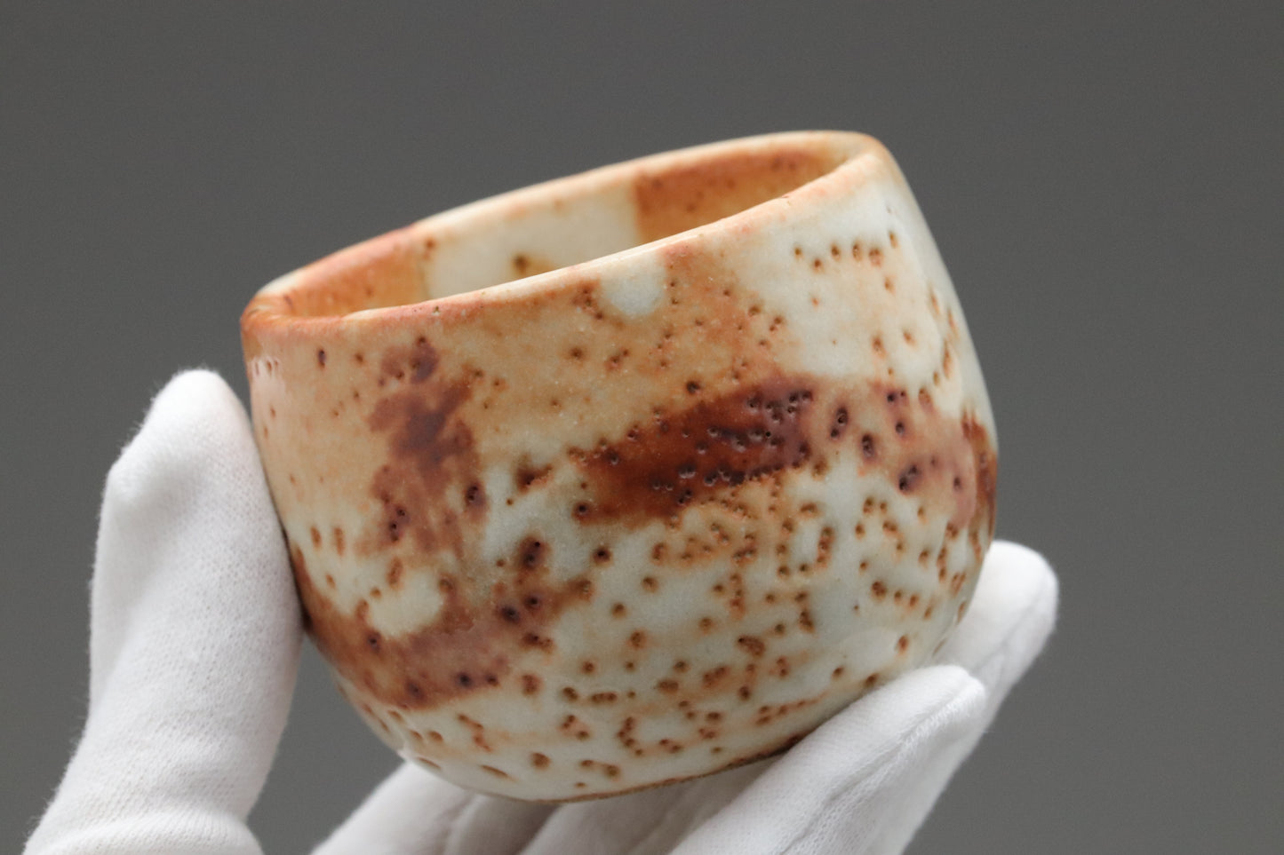 Japanese Mino Ware | Shusen Kiln Tea Set | Handmade Ceramic Teapot | 5 Yunomi Cups | Rustic Shino Glaze | Wabi Sabi | Artisan Pottery Decors