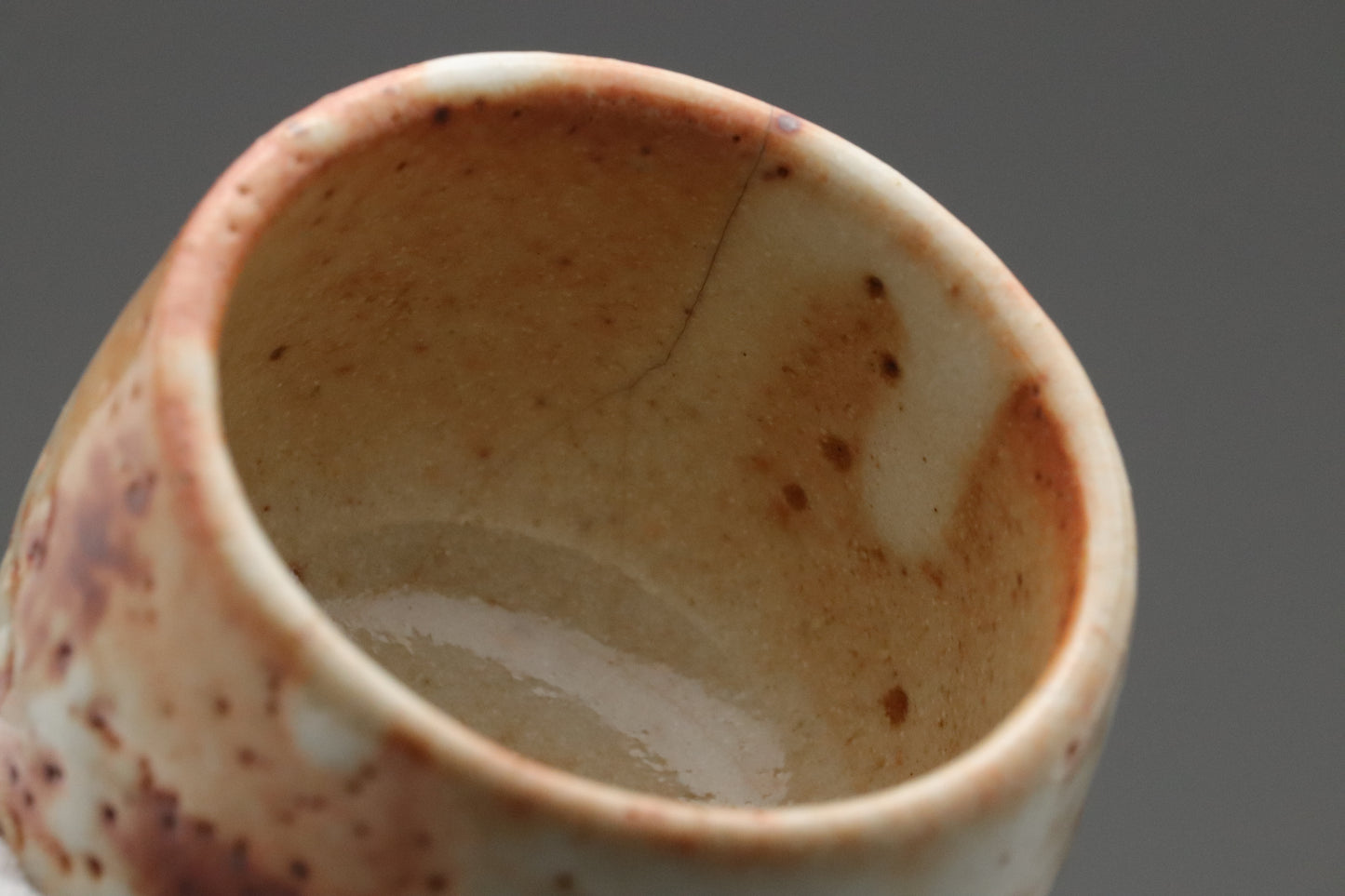 Japanese Mino Ware | Shusen Kiln Tea Set | Handmade Ceramic Teapot | 5 Yunomi Cups | Rustic Shino Glaze | Wabi Sabi | Artisan Pottery Decors
